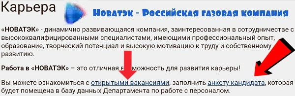 Новатэк  Российская газовая компания кадровый резерв
