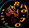 Студия звукозаписи Рио-ИО